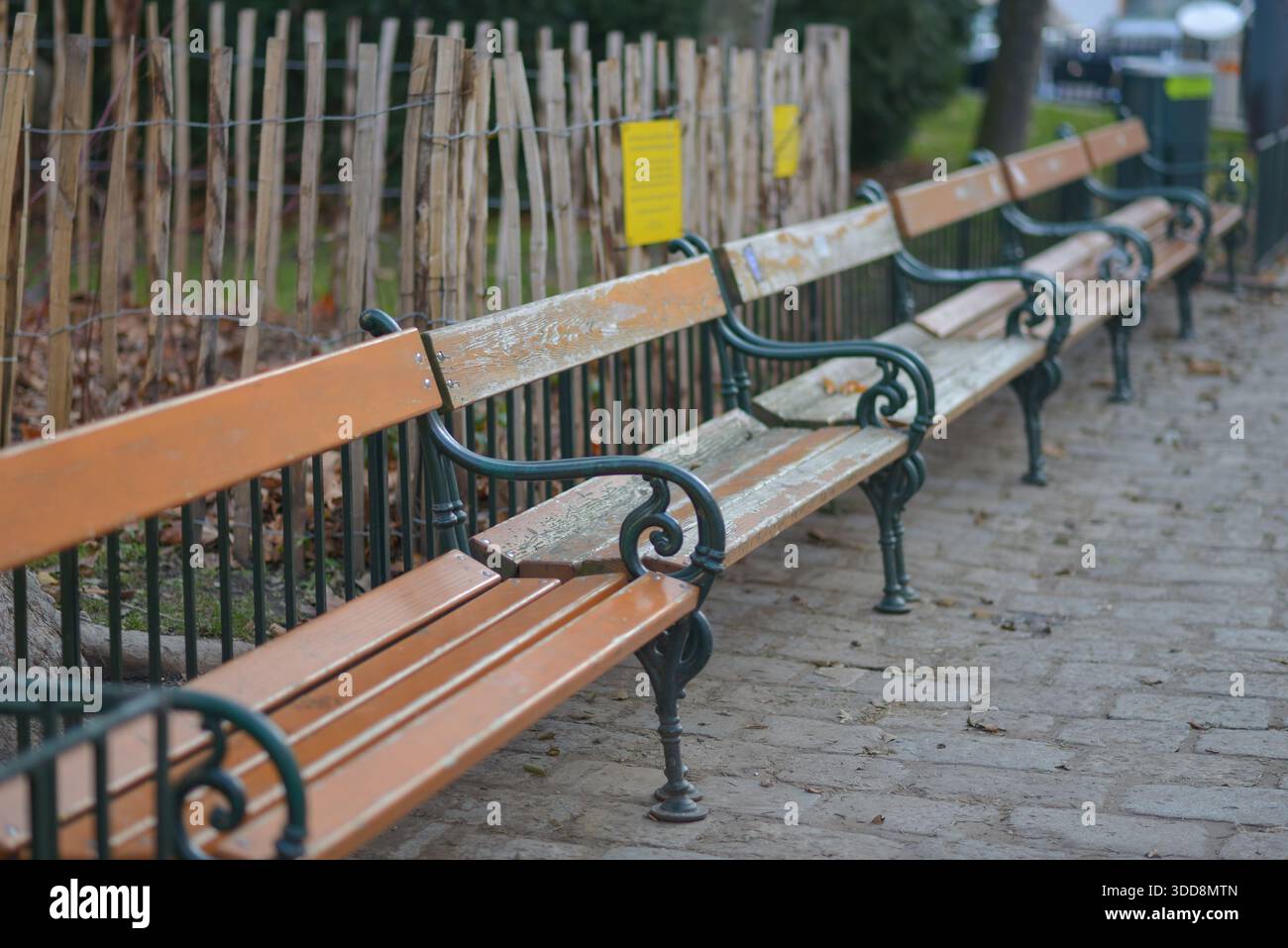 Parkbänke aus Holz mit kunstvollen Metallrahmen säumen einen Kopfsteinpflasterweg in der Nähe eines rustikalen Zauns. Stockfoto