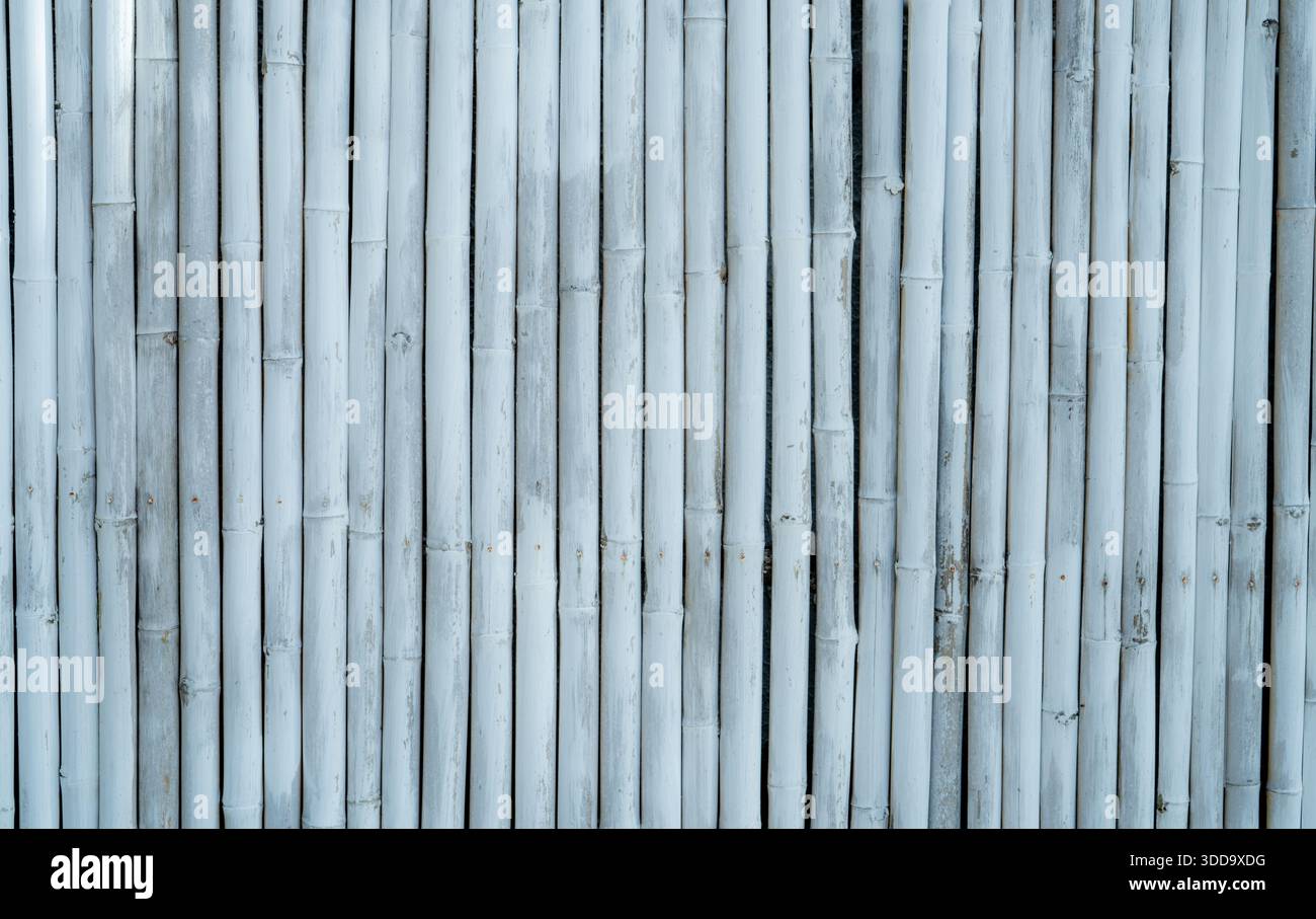 Verwitterte Bambuszaun-Textur mit vertikalen Linien. Natürliche Oberfläche mit rustikalem Muster. Nachhaltiges Bio-Design und minimalistischer Zen-ästhetischer Hintergrund Stockfoto