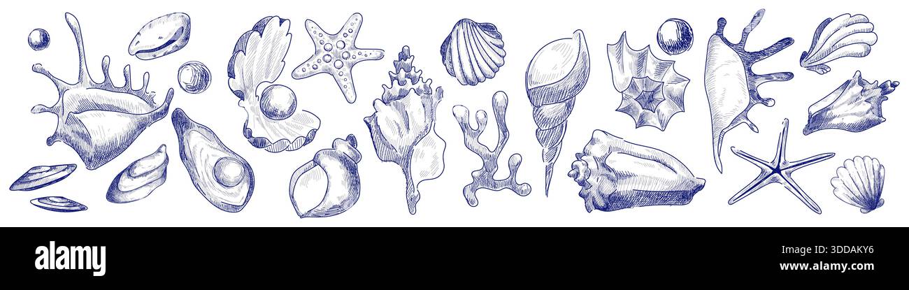 Vintage-Muschelskizze mit handgezeichneten Ikonen im Meer. Marine Shell Kollektion mit Seesternen, Jakobsmuscheln und Muscheln im Retro-Stil. Blaue nautische Illustration für Strandmotive und Branding. Stock Vektor