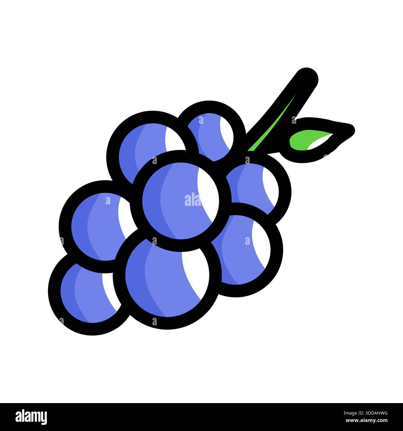 Trauben im Cartoon-Stil mit glänzenden blau-violetten Kugeln, grünem Blatt und braunem Stiel. Ideal für Designs mit Lebensmittelthemen, Schulungsmaterialien oder pla Stockfoto