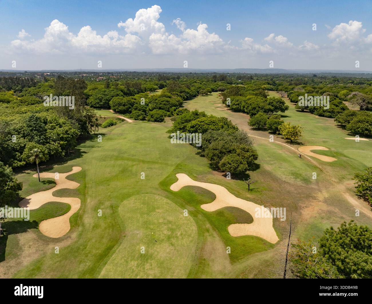 Blick aus der Vogelperspektive auf den üppig grünen Golfplatz mit goldenen Sandbunkern unter einem riesigen blauen Himmel mit Wolken, Kwale, Kwale County, Kenia. Stockfoto