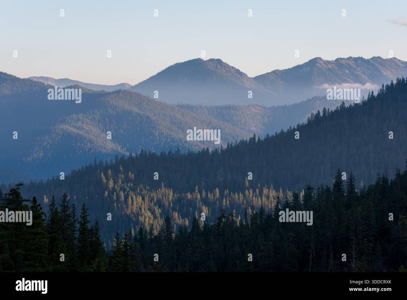 Trinity Mountains, Kalifornien, USA. Stockfoto
