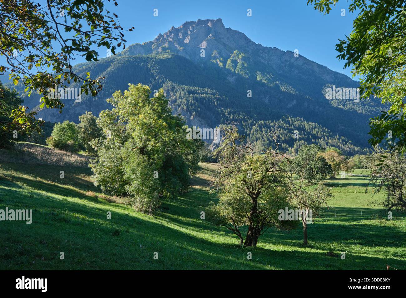 Landschaft zwischen Lingwurm und Ried-Brig mit Weissmies-Berg dahinter Stockfoto