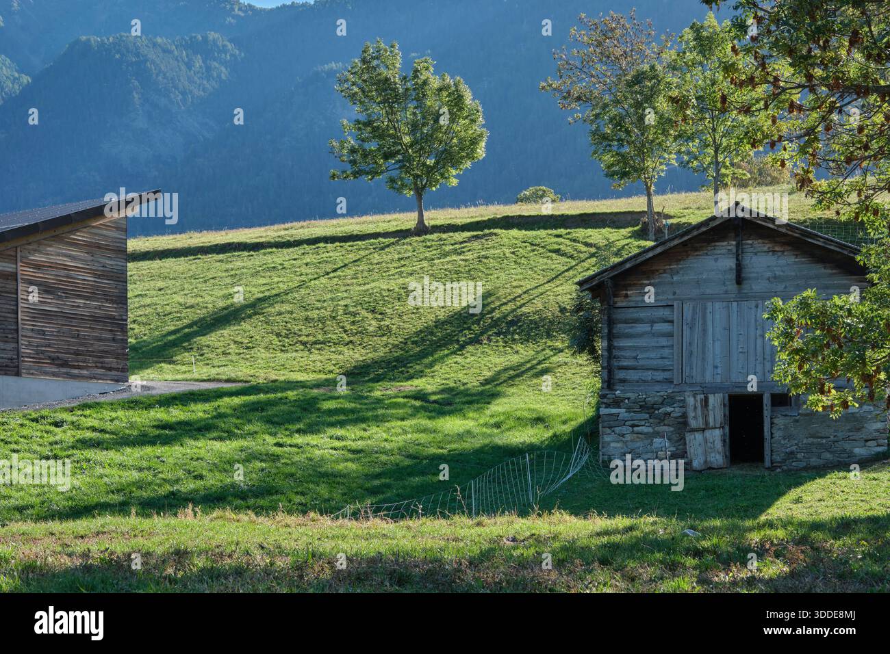 Zwei Hütten auf Almwiesen zwischen Lingwurm und Ried-Brig Stockfoto