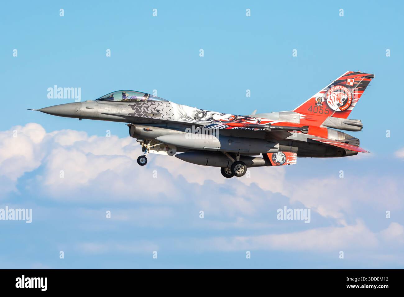 Die polnische Luftwaffe F-16Cs während der NATO-Tiger Meet Übungen in Beja. Mit spezieller Tiger-Lackierung. Stockfoto