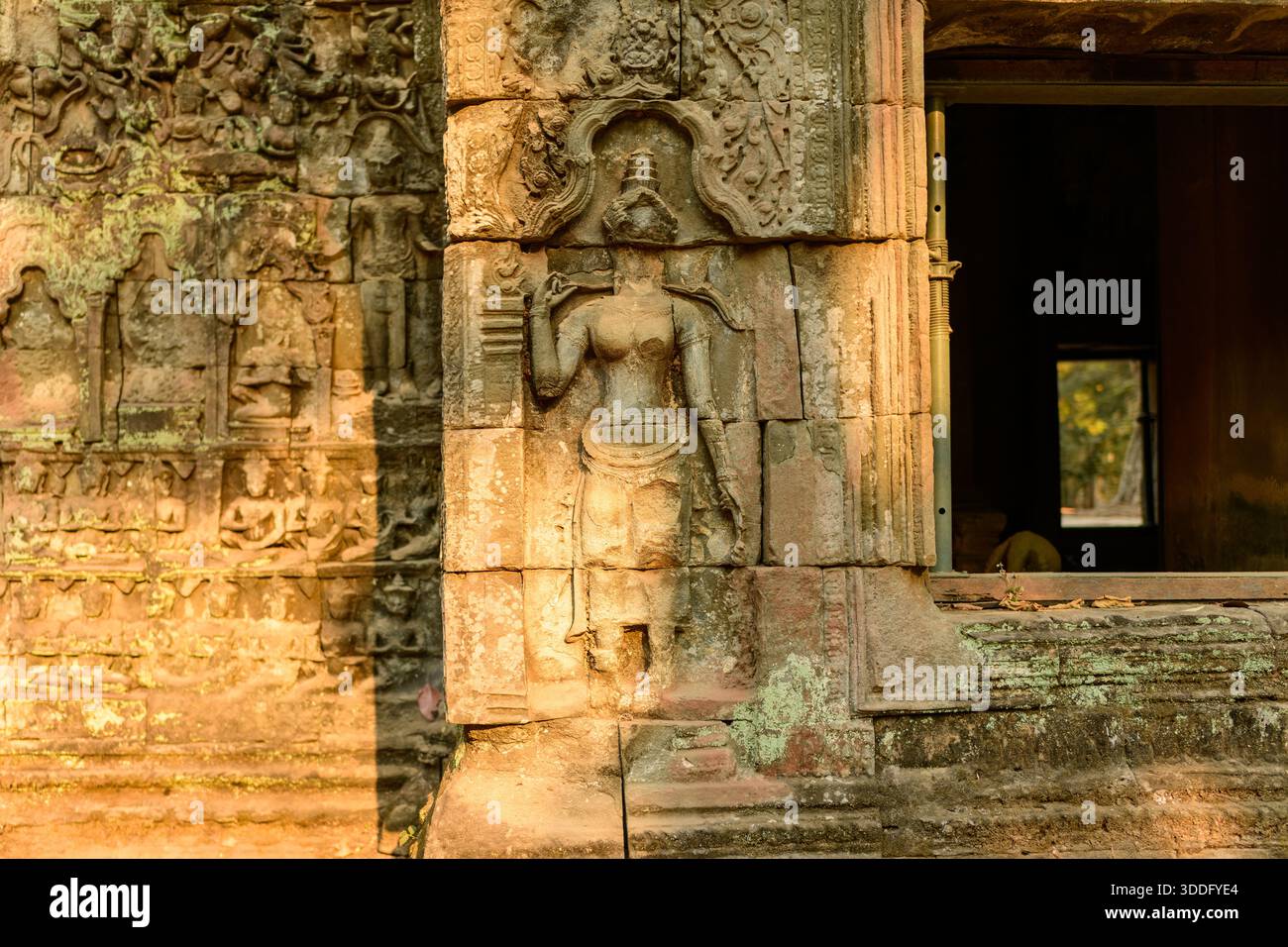 Das Licht am späten Nachmittag beleuchtet ein kompliziertes apsara-Basrelief auf der verwitterten Sandsteinwand des Tempels Ta Prohm in Kambodschas Angkor. Die detaillierte Khmer-Skulptur ist von strukturiertem Mauerwerk und subtilem Moos umgeben, was die Kunstfertigkeit dieser historischen Stätte unterstreicht. Stockfoto