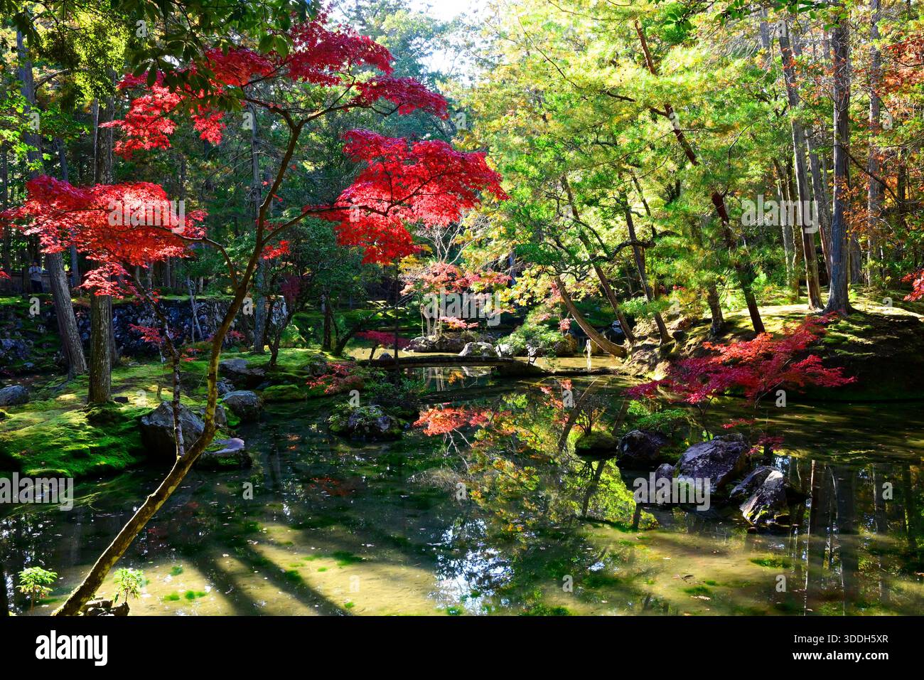 Saihoji Kokedera Moostempel in Kyoto Japan. Stockfoto