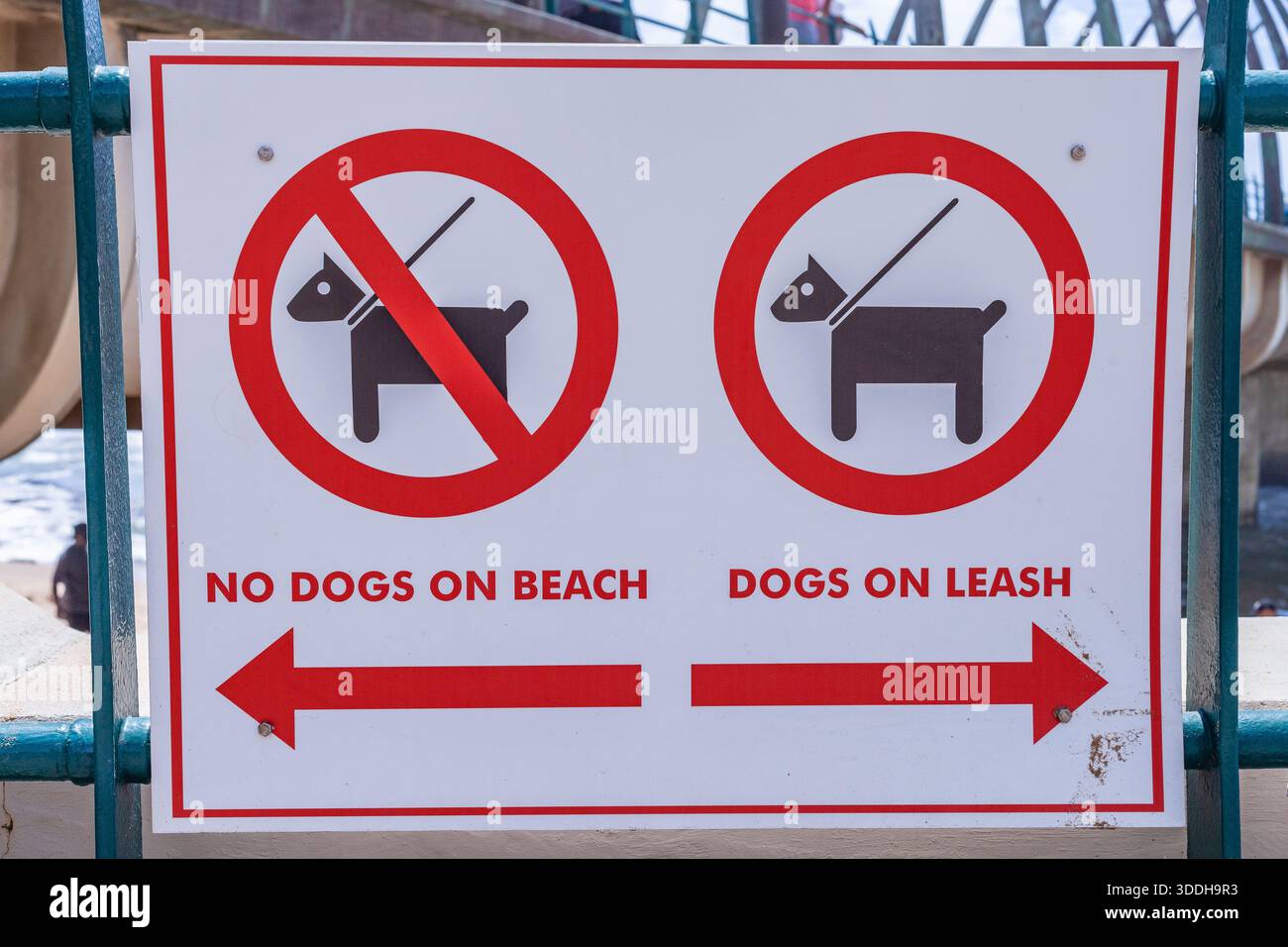 Öffentliches Strandpromenade-Schild kein Schild für keine Hunde Hunde Leine Nahaufnahme Foto. Stockfoto