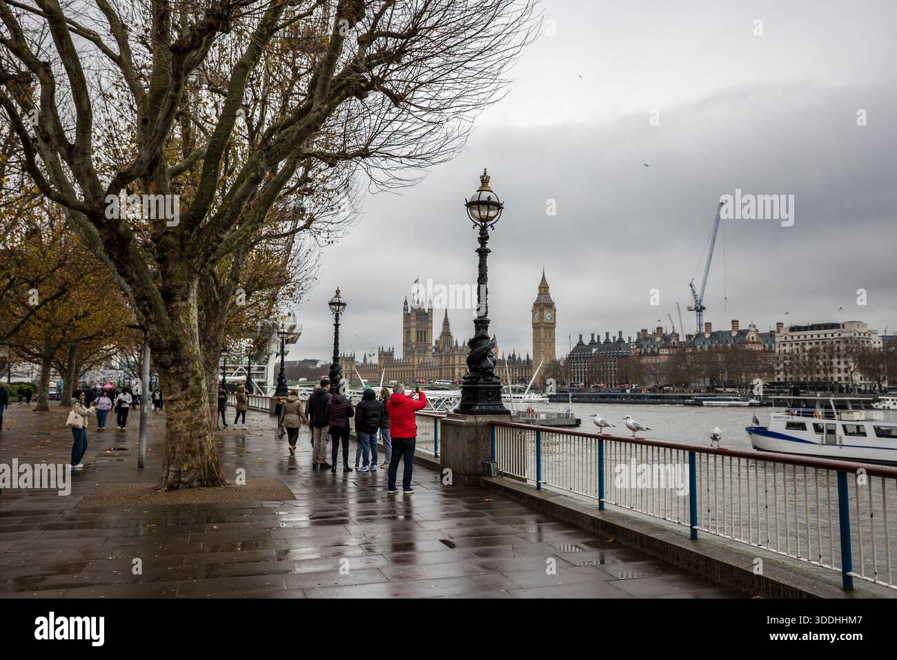 Blick auf den Palast von Westminster Stockfoto