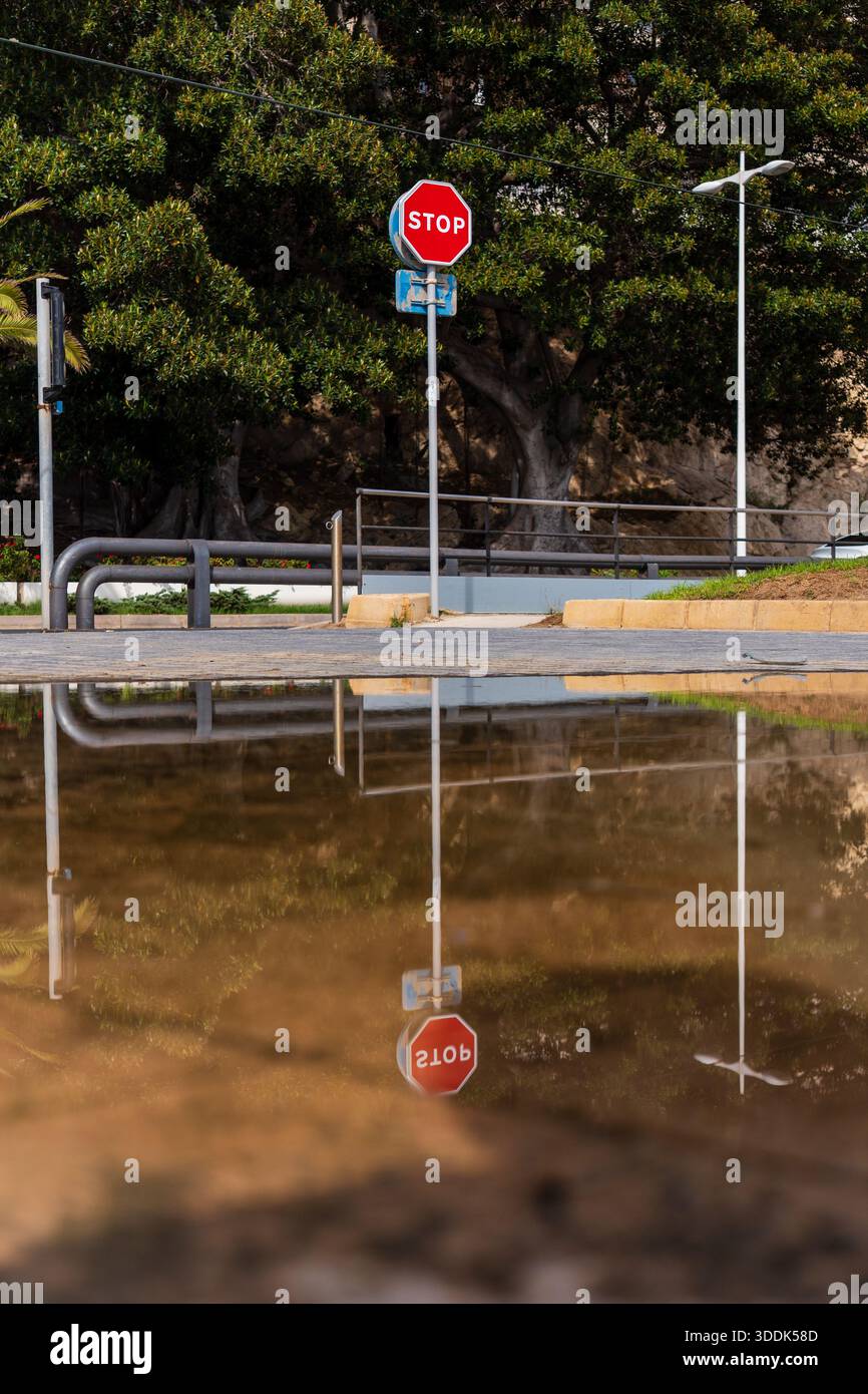 Achteckiges Stoppschild vor großen Bäumen im Hintergrund, die Szene spiegelt sich tagsüber auf dem Wasser auf dem Boden Stockfoto