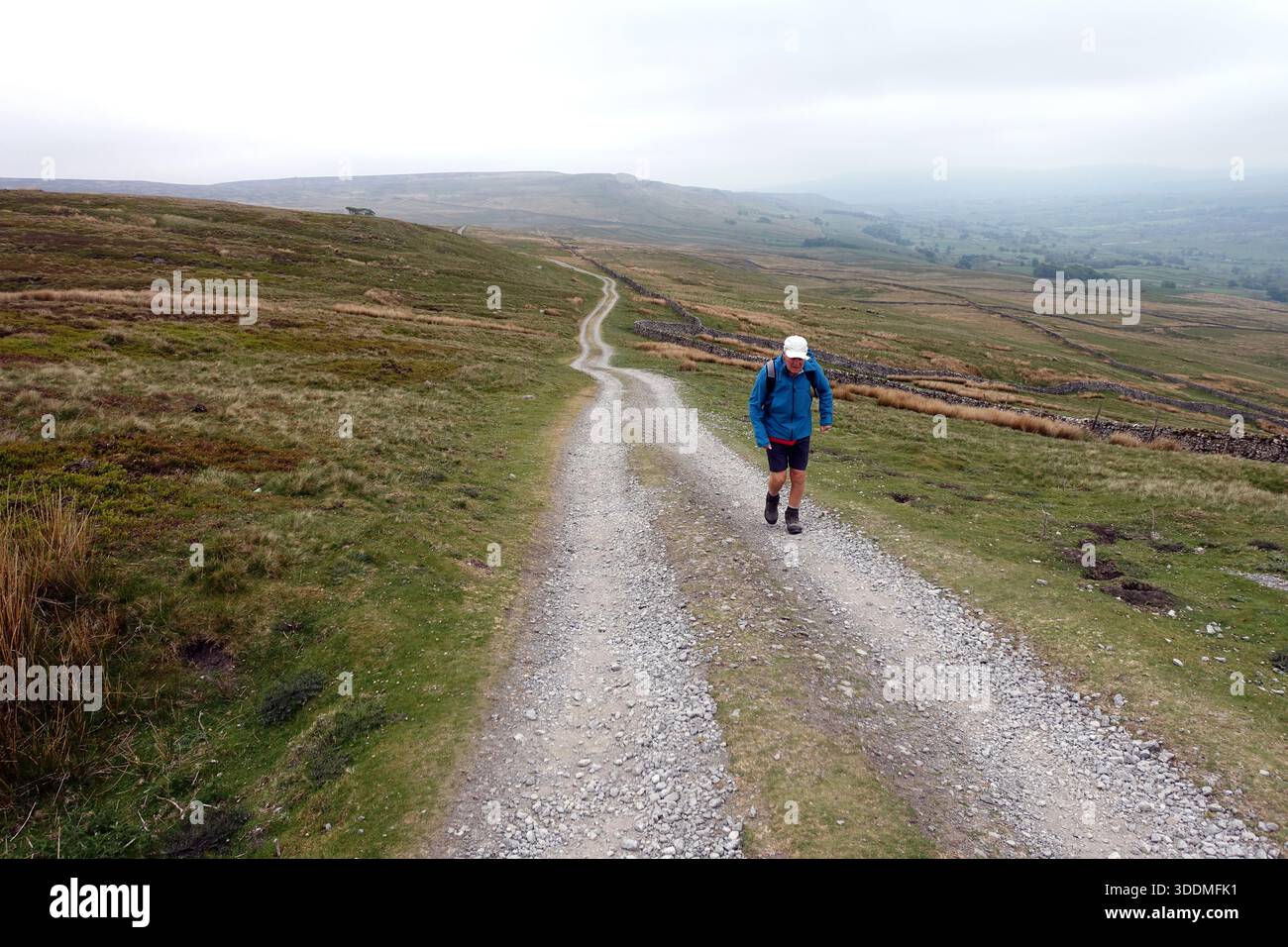 Lone Single man (Wanderer) Walking on Track zum „Oxnop Common“ oberhalb von Askrigg in Wensleydale, Yorkshire Dales National Park, England, Großbritannien. Stockfoto
