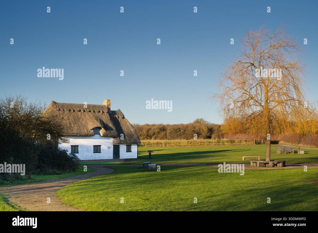 Wat Tyler Cottage Stockfoto