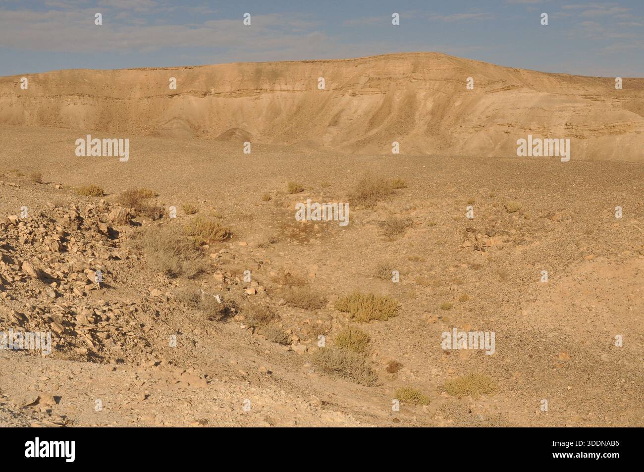 Ein großer Blick auf eine trockene Wüste mit felsigem Boden und minimaler Pflanzenlebensdauer. Die Landschaft bietet Hügel und einen weiten Himmel, der die karge Schönheit hervorhebt Stockfoto