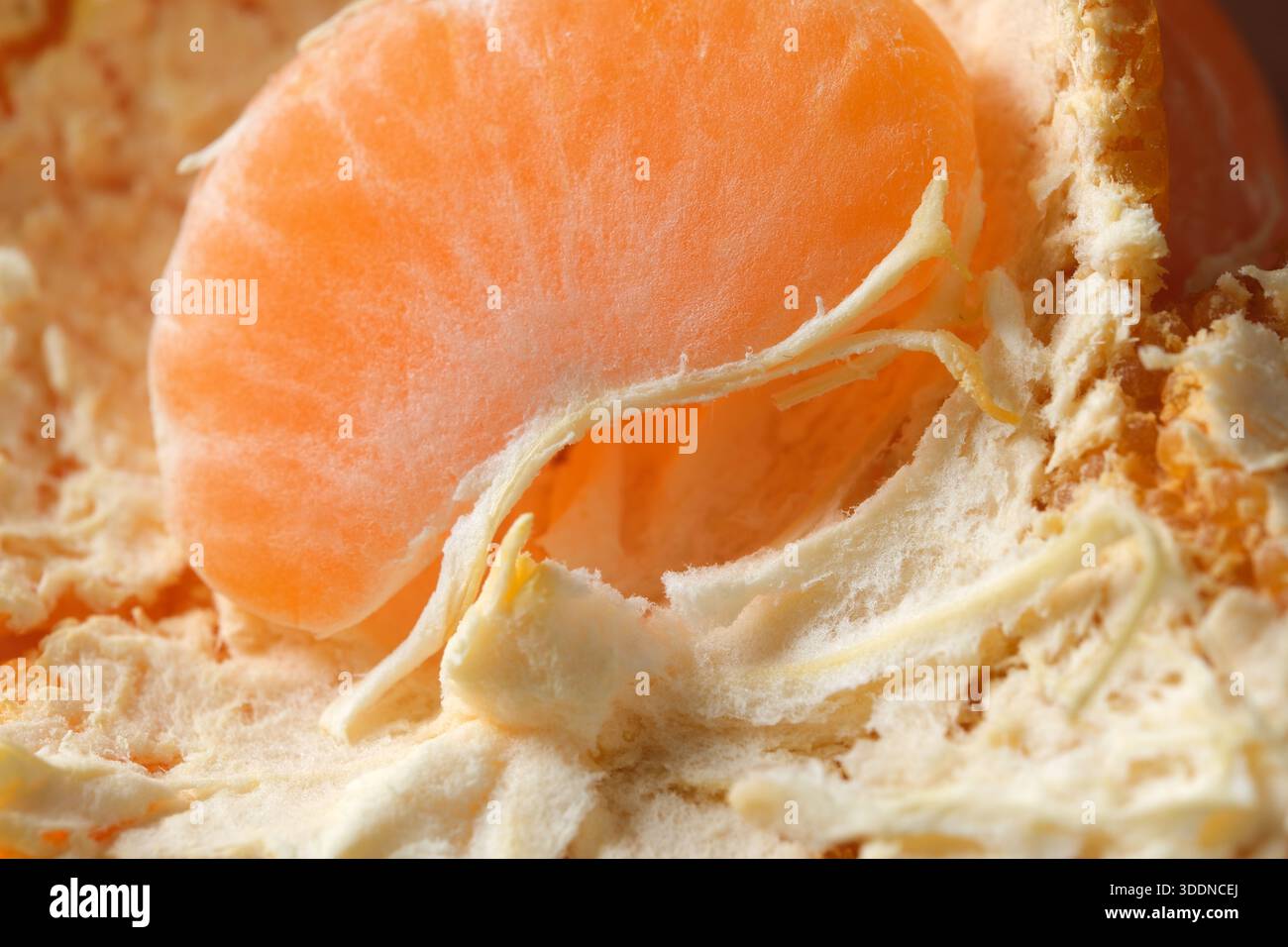 Sonnendurchflutete Orangensegmente zeigen ihre saftige Süße und lebendige Textur anmutig. Stockfoto