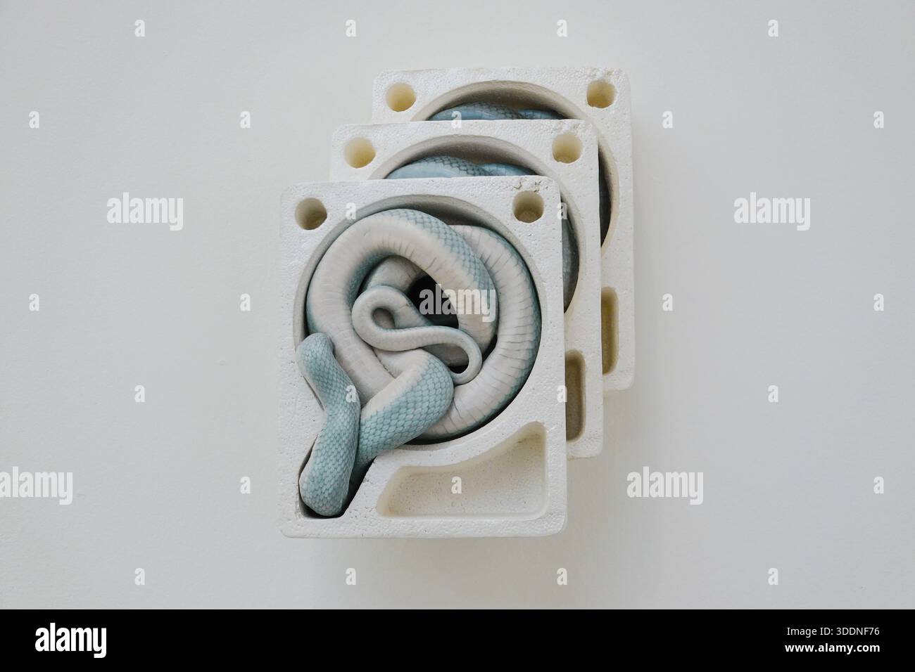 Erkunden Sie die Range von Polly Morgan in der Ausstellung Long Now: Saatchi Gallery in 40. Stockfoto