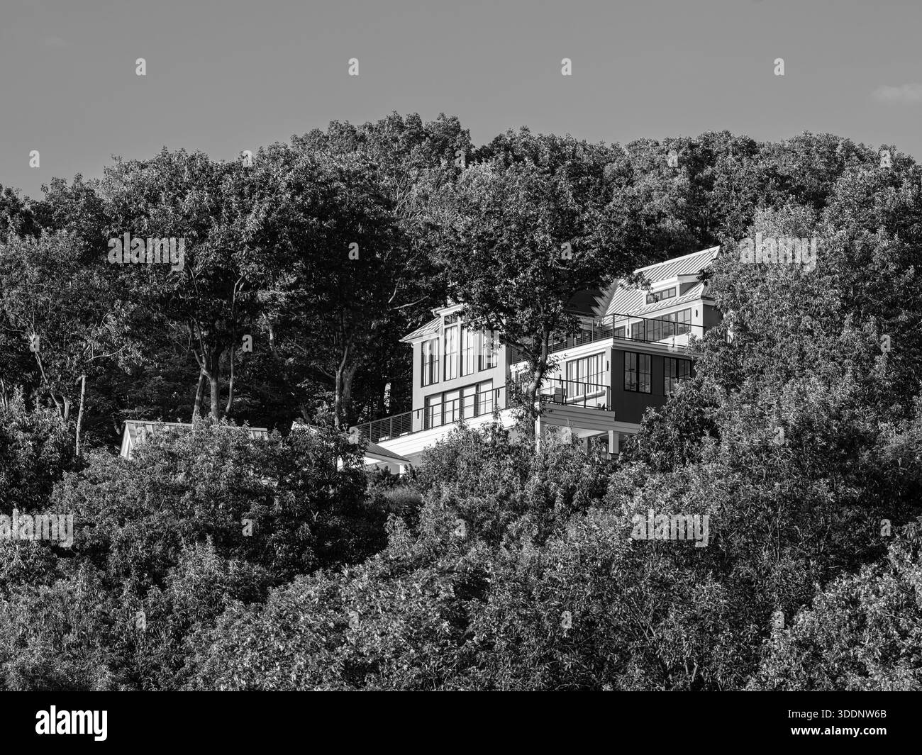 Ein modernes Wohnhaus befindet sich oberhalb der Port Jefferson Bay, umgeben von dichten Bäumen entlang der Küste von Long Island. Stockfoto