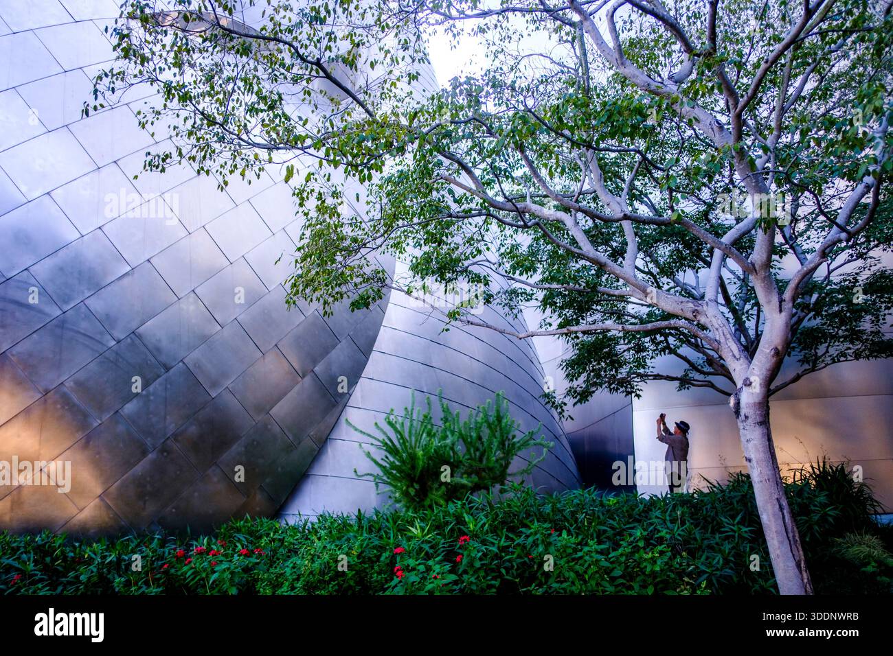 Walt Disney Concert Hall, Los Angeles, California, Vereinigte Staaten von Amerika Stockfoto