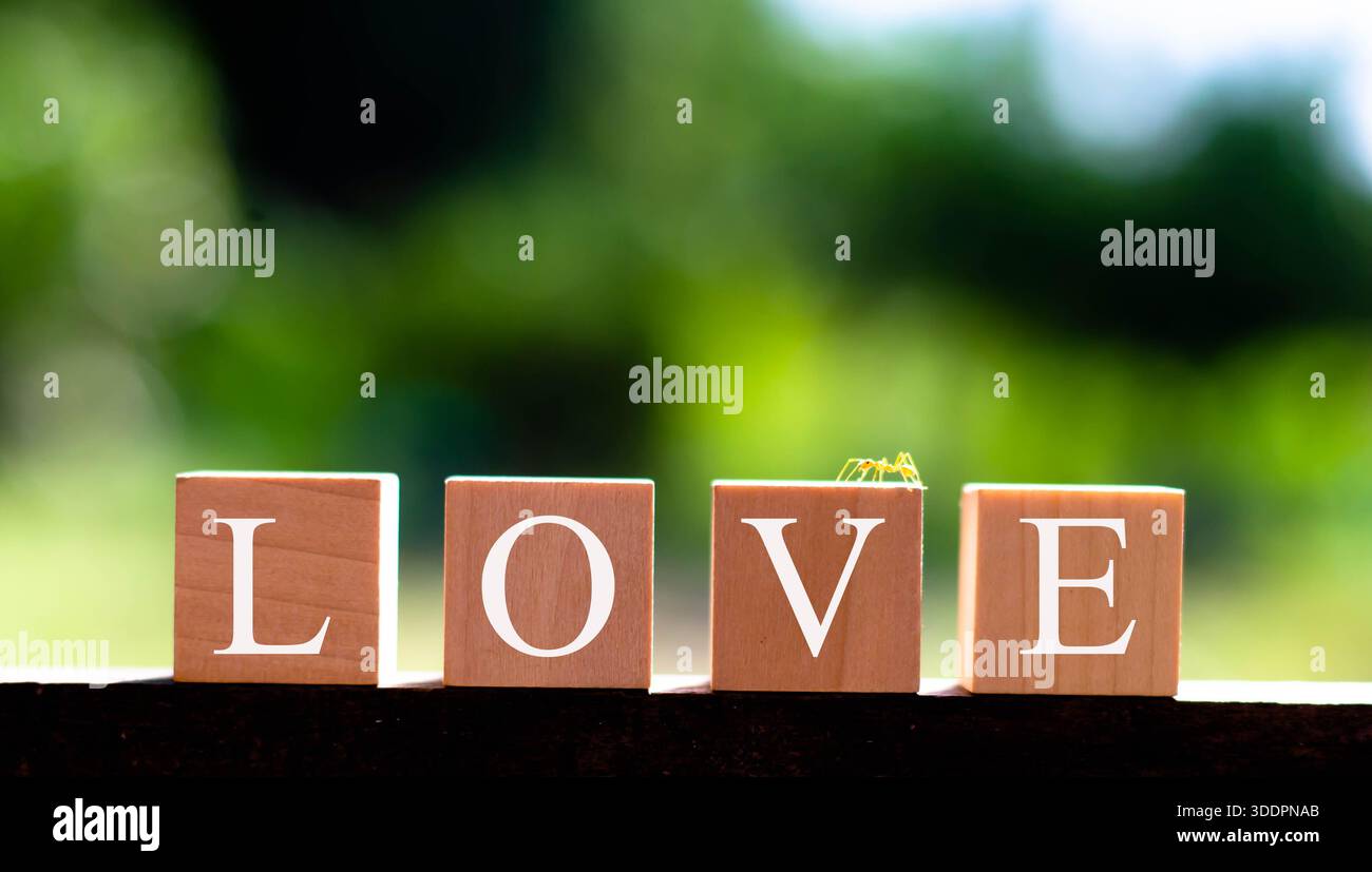 Das Wort "Liebe" ist auf den Würfeln eingearbeitet. Stockfoto