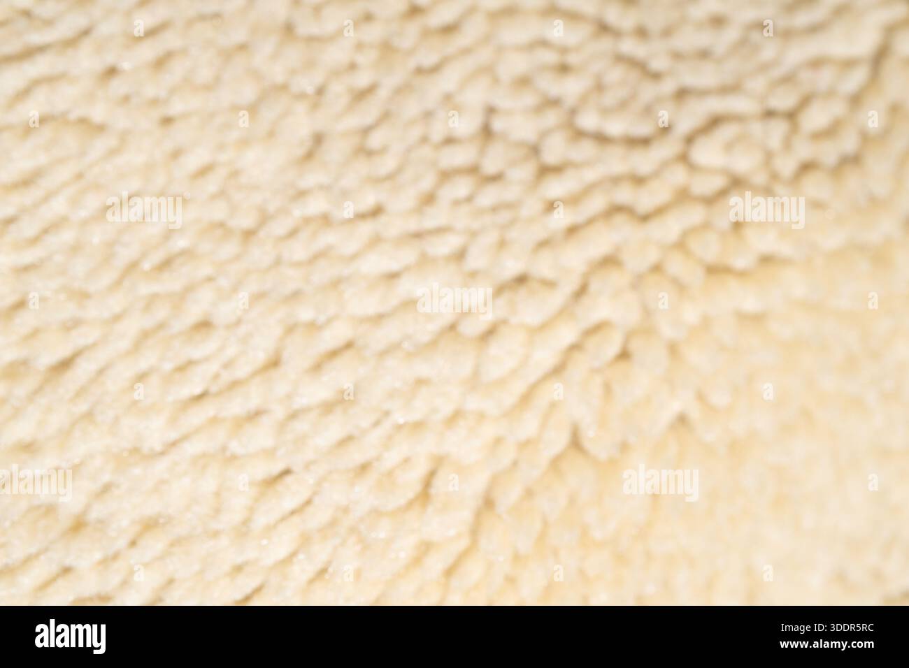 Weiches abstraktes Material aus weißem Fleece. Der Hintergrund mit warmer Wollstruktur sorgt für gemütliche Wintermotive und minimales Design. Stockfoto