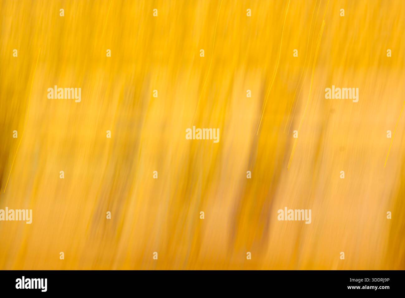 Abstraktes hellgelbes, diagonales Bewegungsunschärfe. Energiegeladener, sonniger Hintergrund für Geschwindigkeit und Sommerhitze. Stockfoto