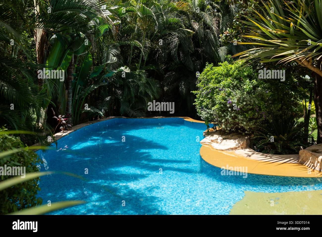 Swimmingpool im tropischen Stil, umgeben von üppigem Grün in einem privaten Garten in Kairo, Ägypten Stockfoto