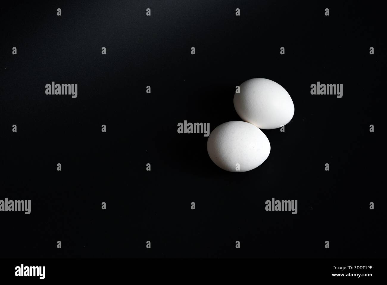 Zwei weiße Hühnereier auf einem minimalistischen schwarzen Hintergrund mit sanfter Seitenbeleuchtung. Einfacher Blick von oben auf rohe Bio-Frühstückszutaten. Stockfoto