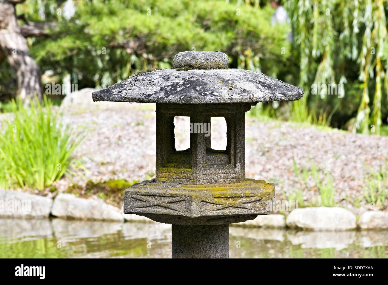 Traditionelle Steinlaterne steht neben einem Teich im japanischen Garten von Seattle Stockfoto