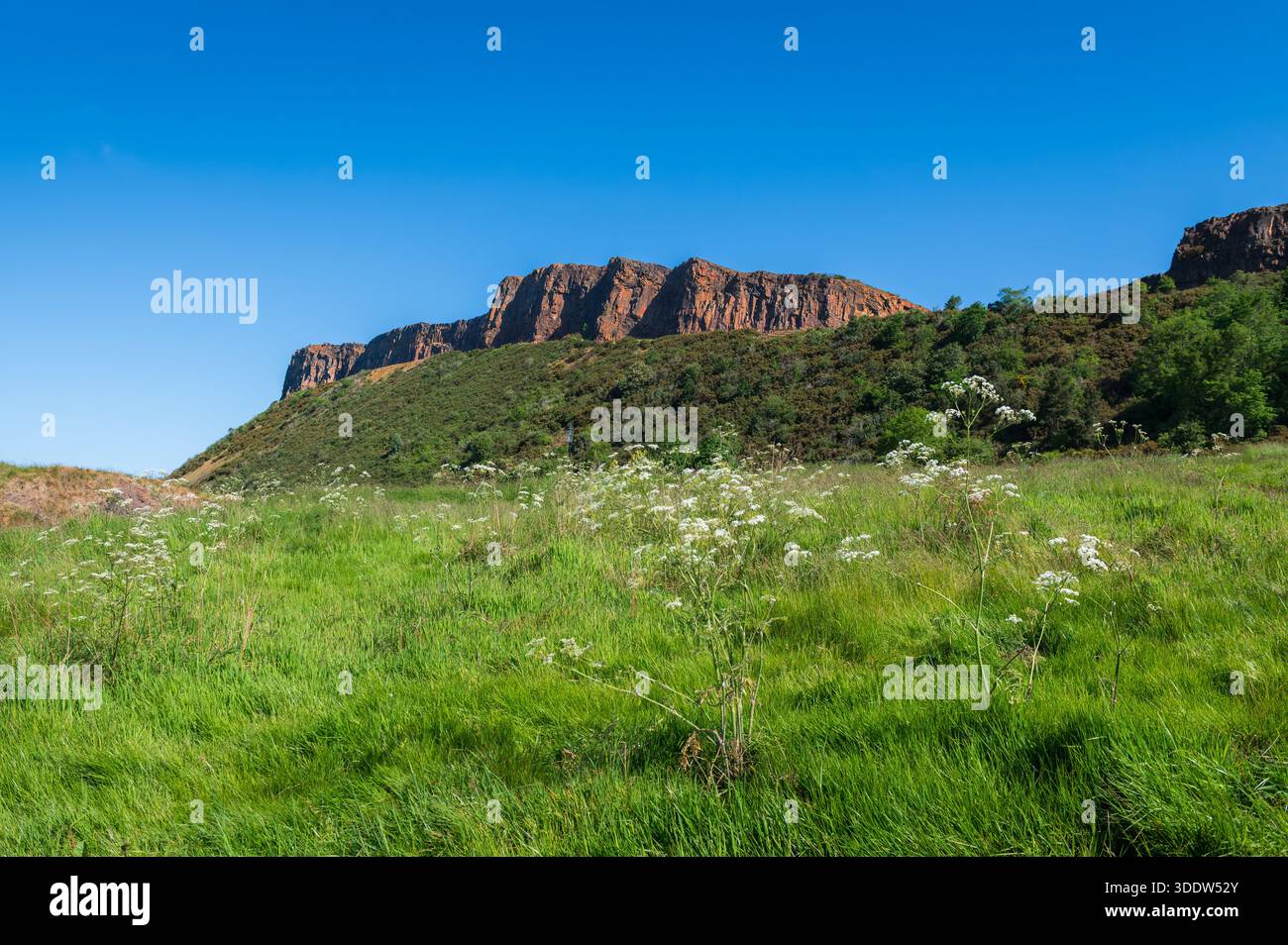 Salisbury Crags Klippen von Queen's Drive an einem sonnigen Tag, Holyrood Park, Edinburgh, Schottland Stockfoto