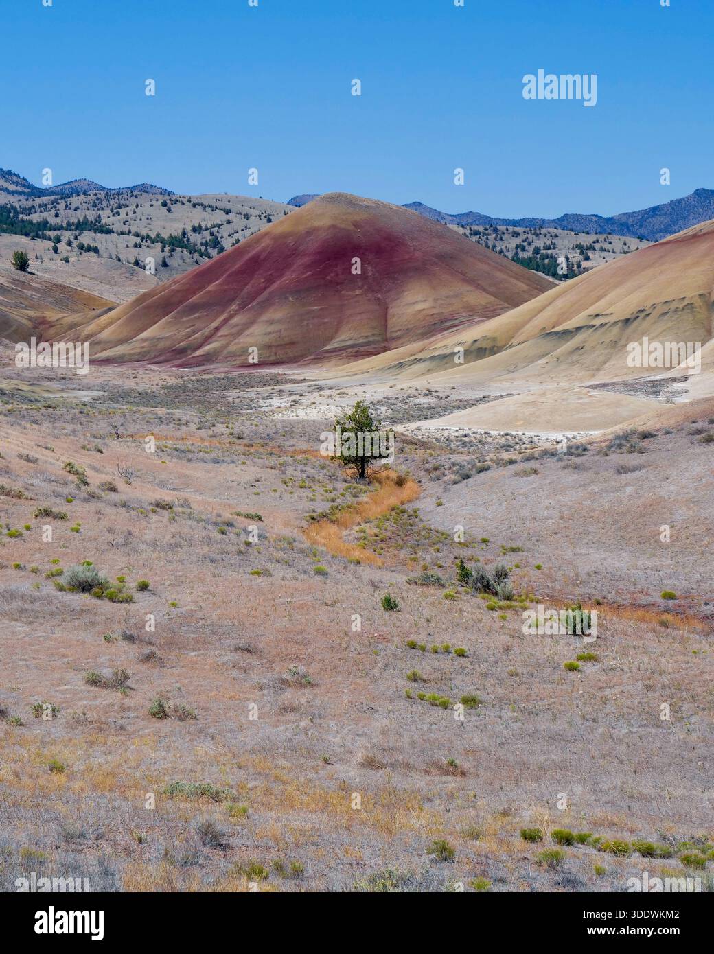 Painted Hills. Farbenfrohe bemalte Hills in Zentral-Oregon Stockfoto