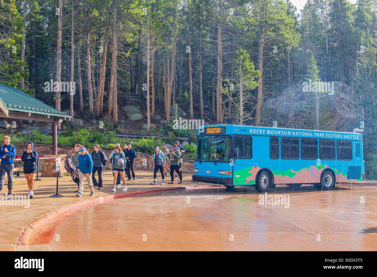 Colorado, 4. JUL 2025 - regnerischer Blick auf einen Shuttlebus, der Besucher am Bear Lake Trailhead im Rocky Mountain National Park abbringt Stockfoto