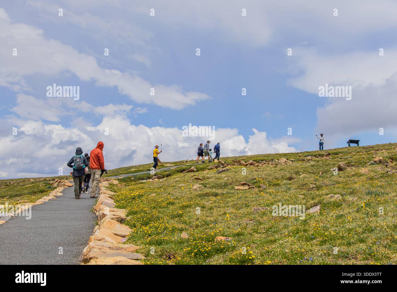 Colorado, 4. Juli 2025 – viele Besucher wandern auf dem Tundra Communities Trail im Rocky Mountain National Park. Stockfoto