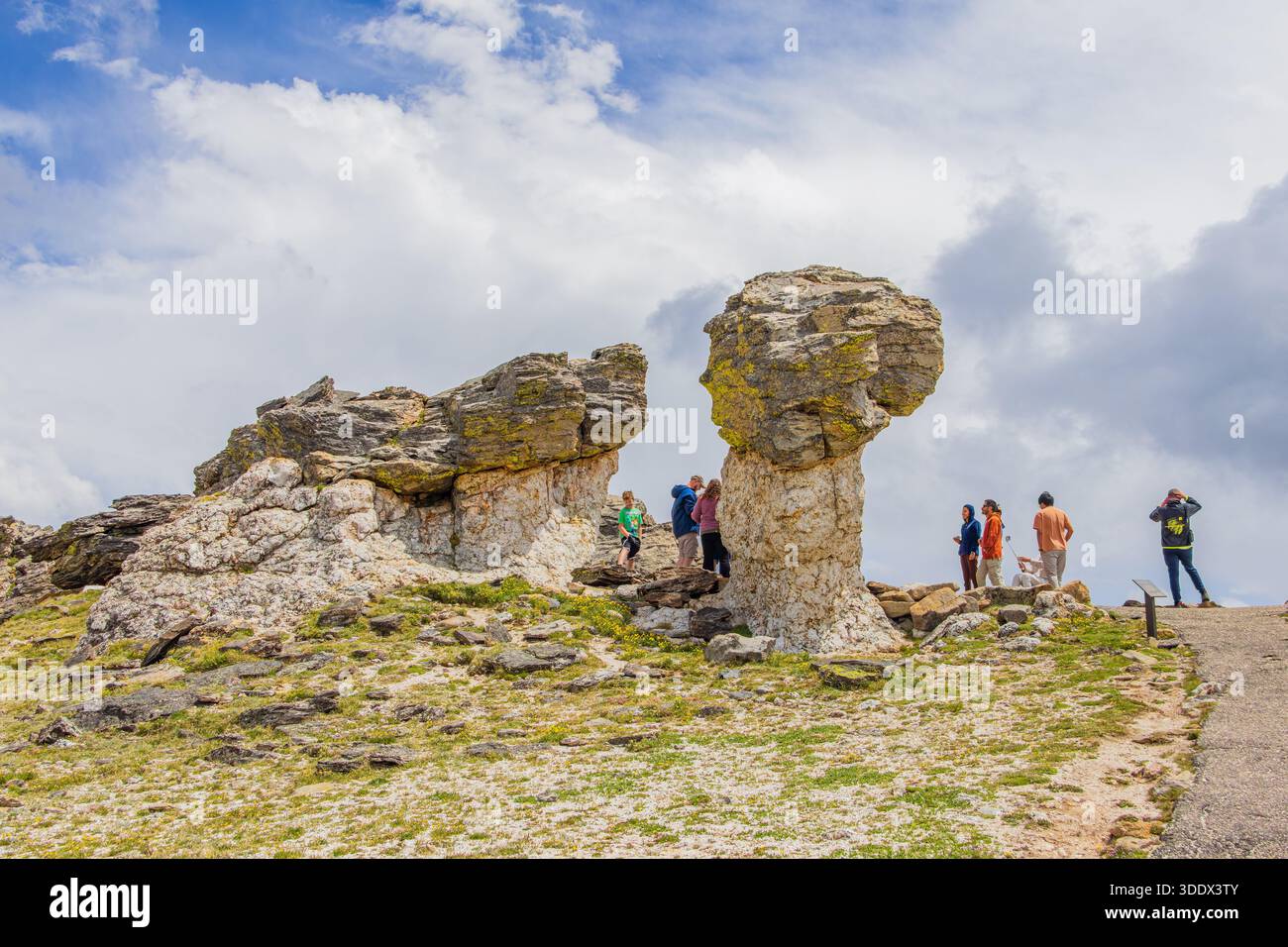 Colorado, 4. Juli 2025 – viele Besucher wandern entlang der Mushroom Rocks im Rocky Mountain National Park. Stockfoto