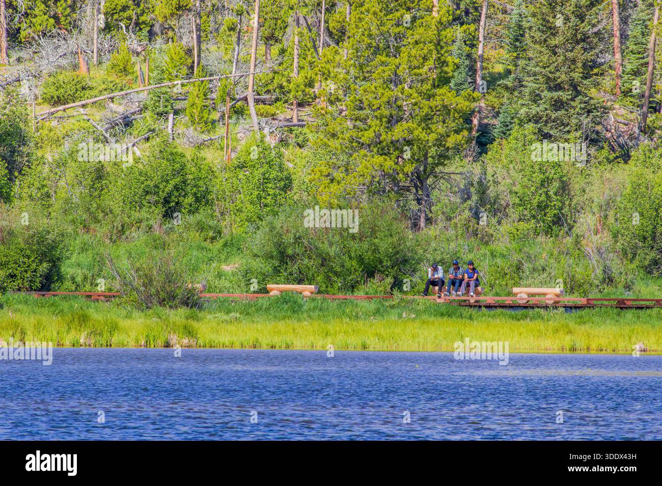 Colorado, 5. JUL 2025 - Menschen, die die wunderschöne Landschaft des Sprague Lake bewundern Stockfoto
