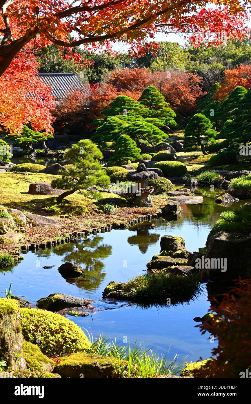 Herbstblick auf den Yushien-Garten in Matsue, Präfektur Shimane, Japan. Stockfoto