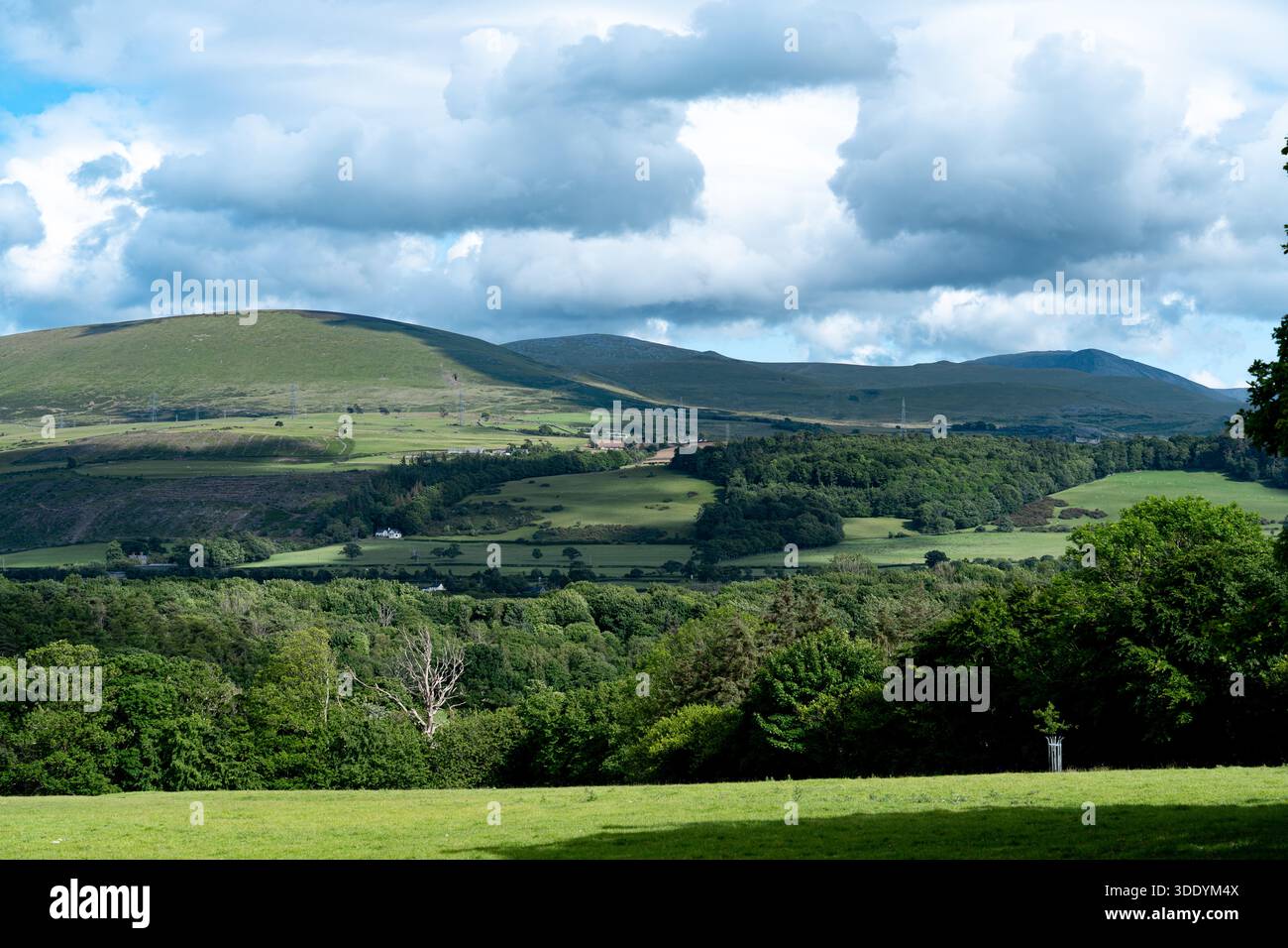 Grüne Wiesen und Berge, die von Sonnenlicht unter einem dramatischen blauen Himmel in Wales beleuchtet werden. Lebhafte Sommerlandschaft mit starkem Kontrast und frischer Atmosphäre. Stockfoto