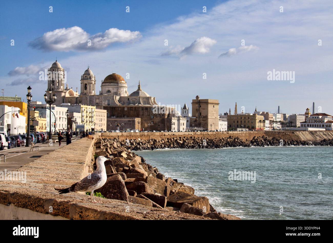 Ein malerischer Blick auf die Küste von Cadiz in Andalusien mit einer Möwe im Vordergrund, die auf einer Steinmauer thront. Stockfoto