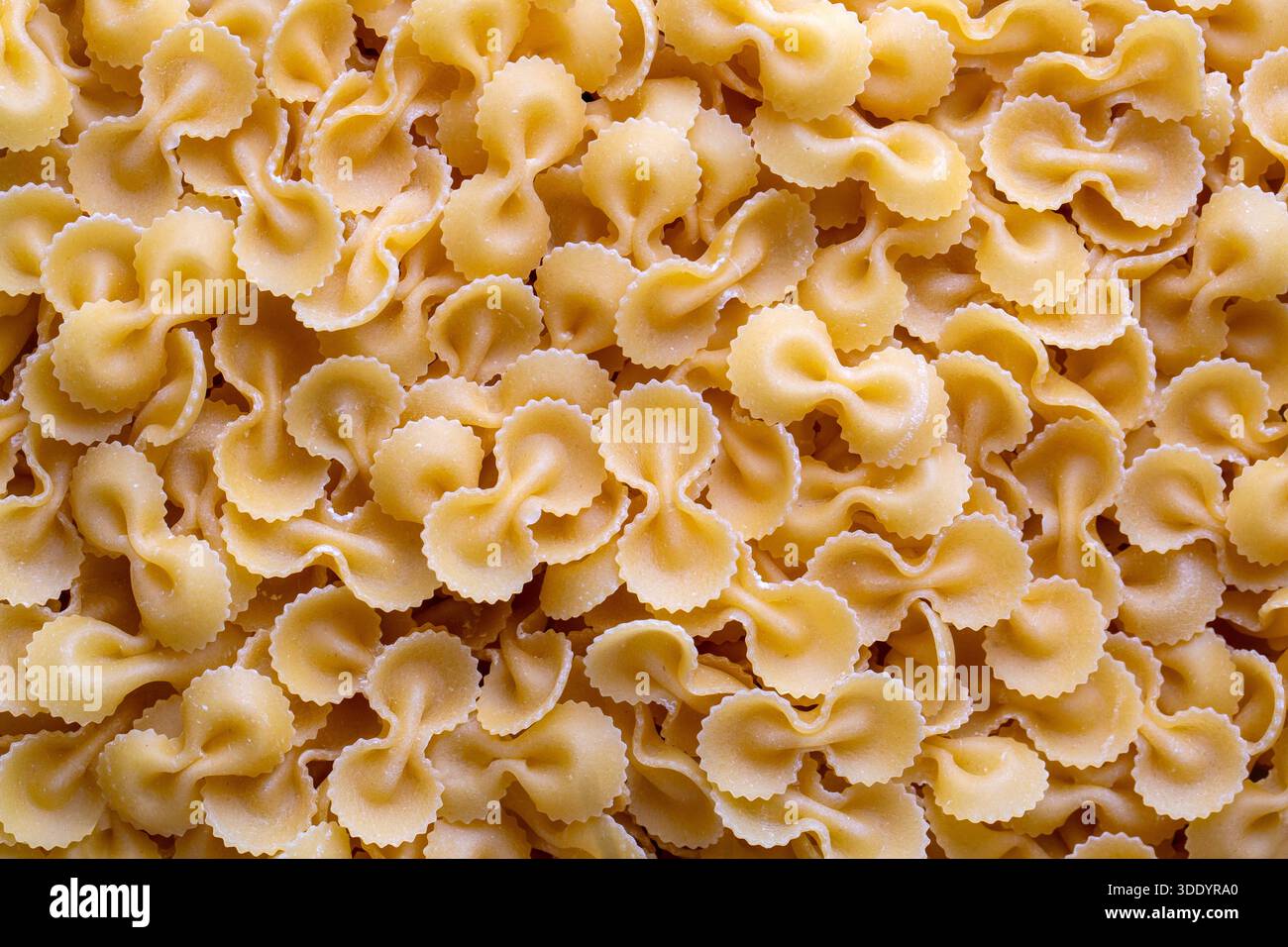 Italienisches Farfalle Rohpasta-Nahaufnahme Stockfoto