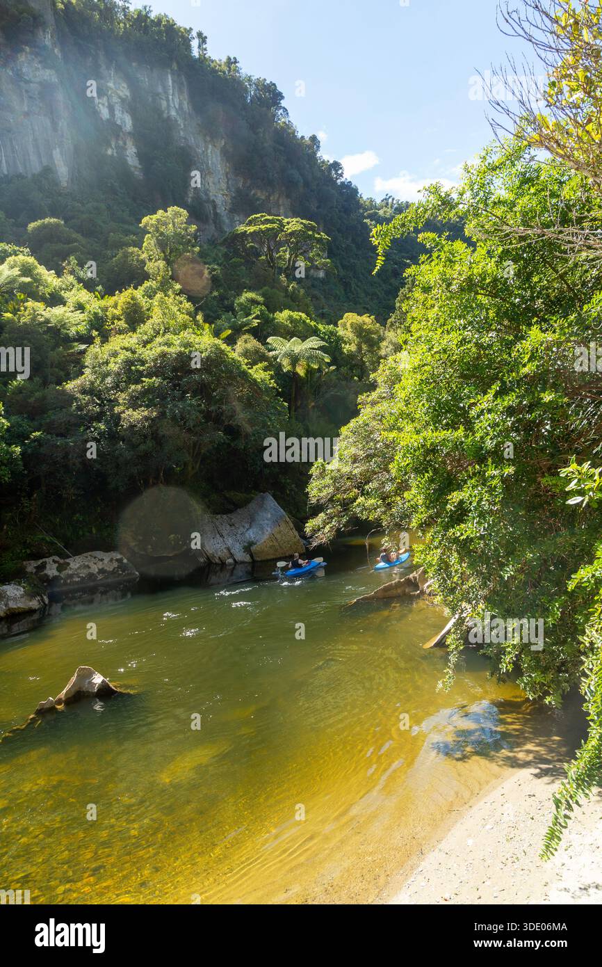 Menschen, die Kanus auf dem Pororari River, Punakaiki, Südinsel, Neuseeland paddeln Stockfoto
