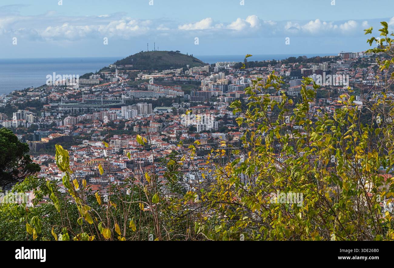 Blick in Richtung Funchal vom Botanischen Garten, Madeira, Portugal Stockfoto