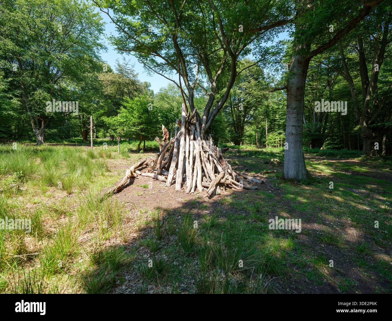 Primitive Holzunterkunft aus Baumstämmen und Zweigen in einem Green Forest Clearing, Outdoor Survival und Bushcraft Konzept Stockfoto