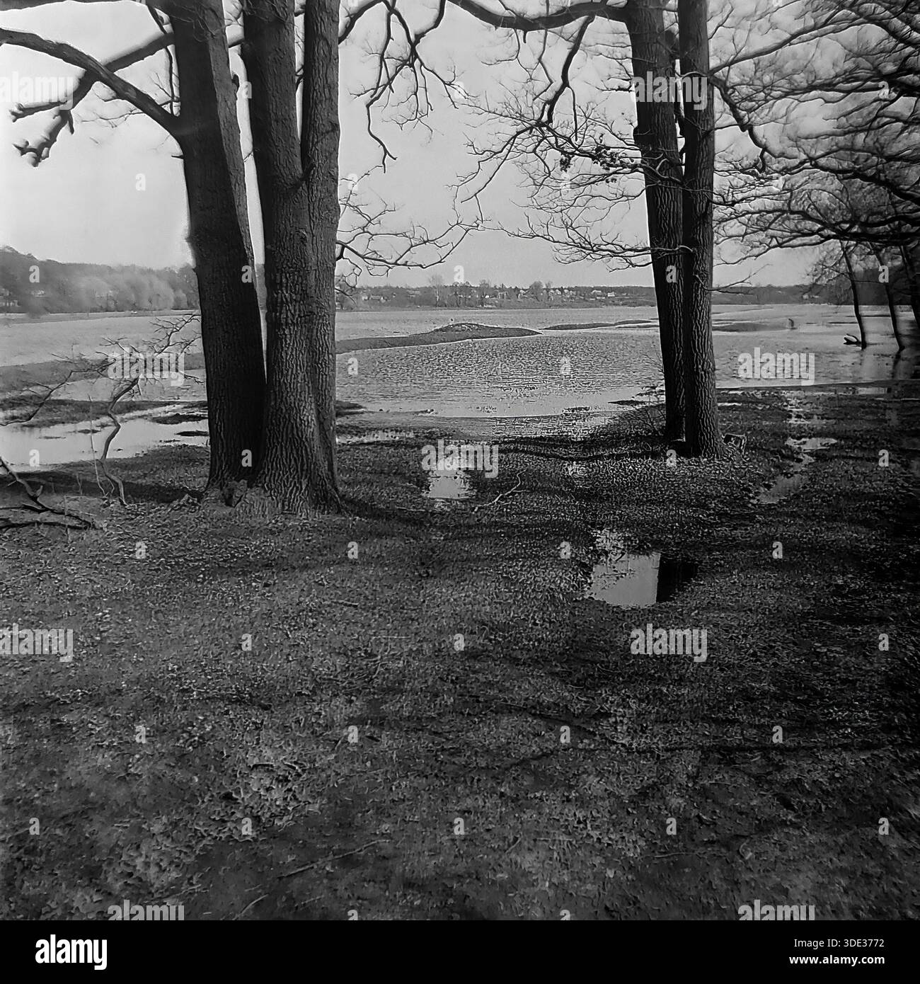 Das monochrome Archivfoto aus der Sowjetzeit der 1980er Jahre zeigt einen malerischen Blick auf die Frühlingsflut im „Appendizitis“-Rückwasser in der Nähe von Brusino, Donezk, Ukraine UdSSR. Eingerahmt von massiven dunklen Baumstämmen im Vordergrund zeigt das Bild eine nasse, schlammige Uferseite mit Pfützen, die zu den geschwollenen Gewässern des Seversky Donets führen. Die ferne Küste und der bewölkte Himmel schaffen eine düstere, atmosphärische Landschaft. Diese Komposition unterstreicht das Ausmaß der saisonalen Überschwemmungen und die raue Schönheit der Natur im friedlichen Donbass vor dem Krieg. Stockfoto