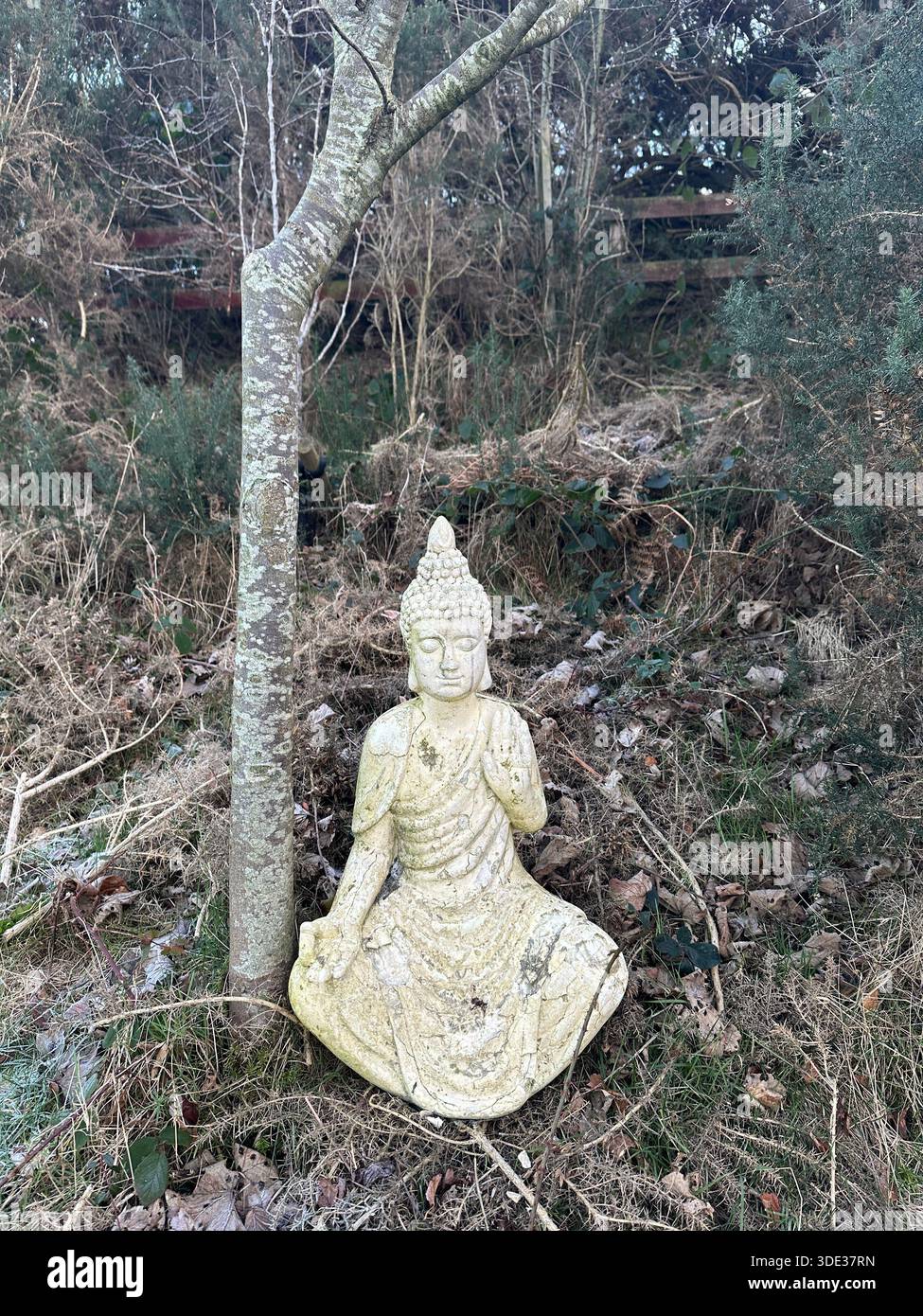 Buddha-Statue - Smartphone-aufgenommenes Stockfoto