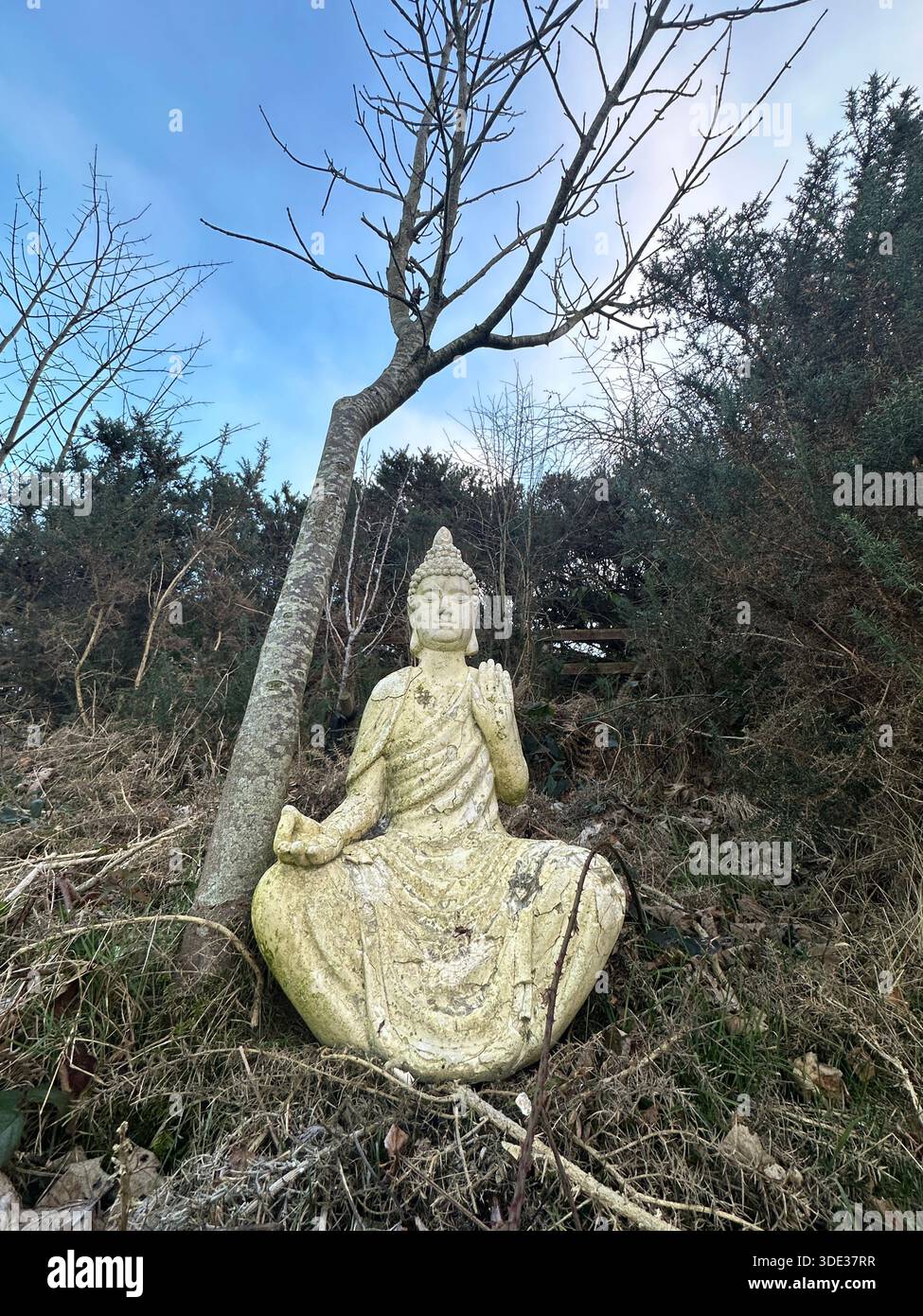 Buddha-Statue - Smartphone-aufgenommenes Stockfoto