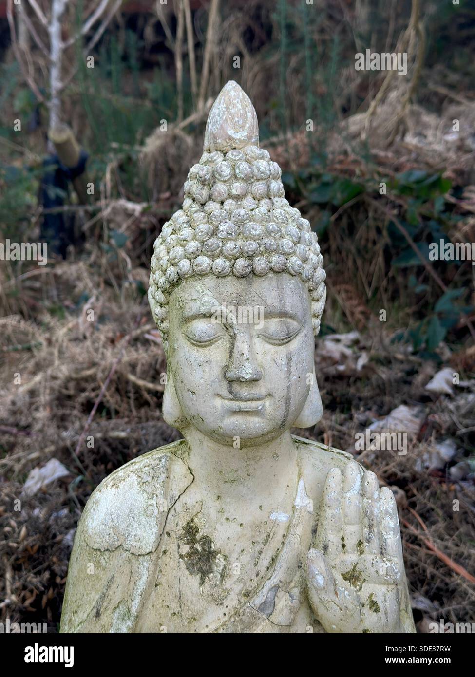 Buddha-Statue - Smartphone-aufgenommenes Stockfoto