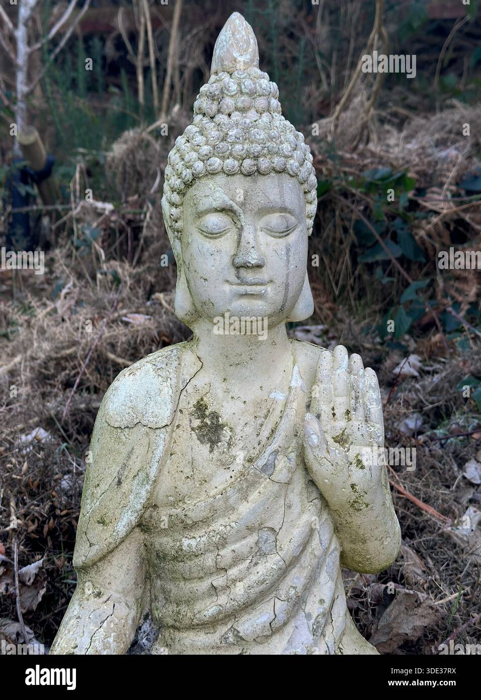 Buddha-Statue - Smartphone-aufgenommenes Stockfoto
