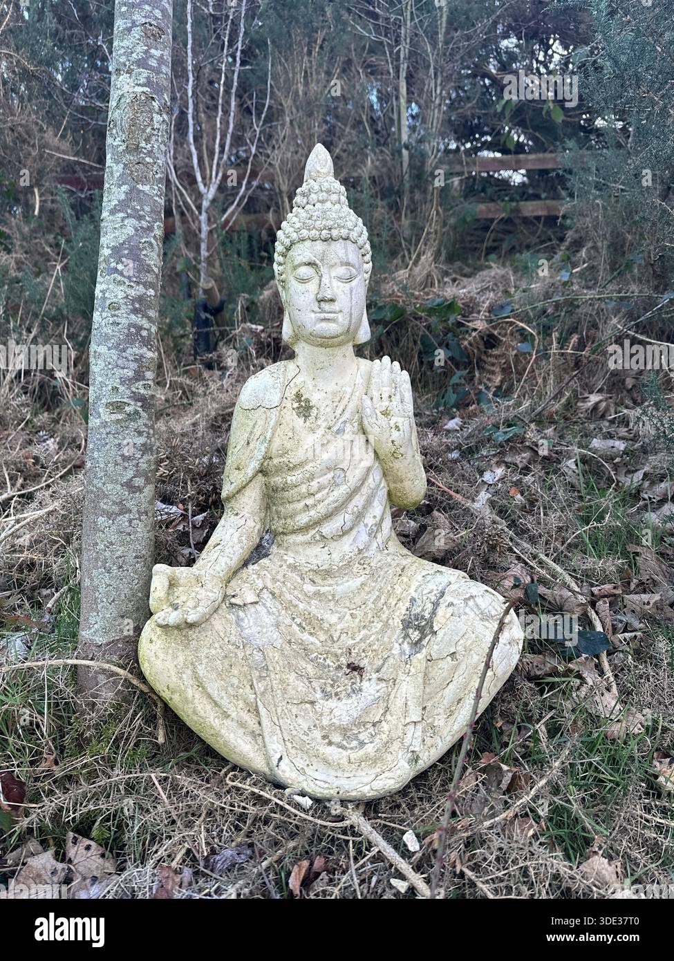 Buddha-Statue - Smartphone-aufgenommenes Stockfoto
