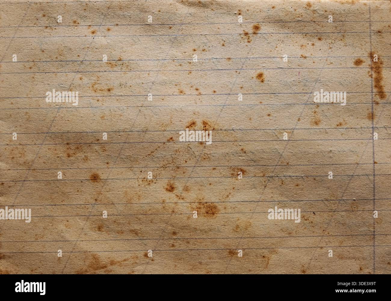 Nahansicht eines Blattes liniertes Notizbuchpapier Stockfoto