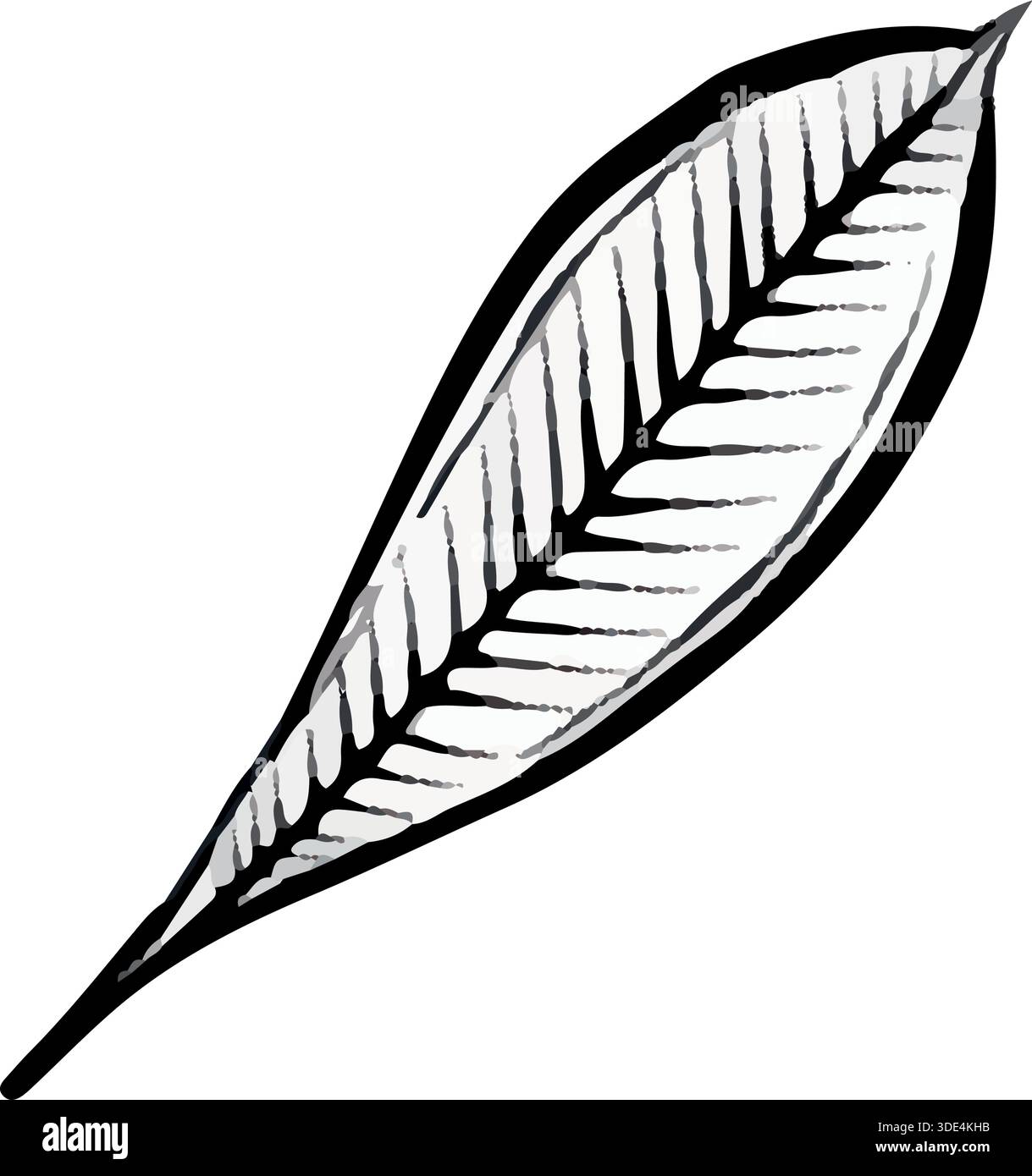 Vektorlinie Illustration eines einzelnen tropischen Blattes mit detaillierten Adern, isoliert auf weißem Hintergrund, saubere botanische Grafik ideal für Logos, Drucke, Verpackungen, Poster und moderne Designprojekte. Stock Vektor