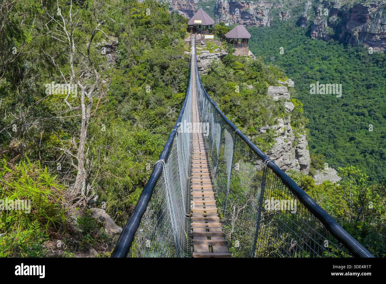 Naturschutzgebiet Lake Eland in der Oribi-Schlucht mit Hängebrücke in Südafrika Stockfoto