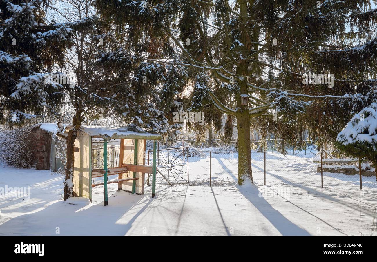 Ruhige Winterlandschaft mit Schaukel im Garten an einem sonnigen Tag. Stockfoto